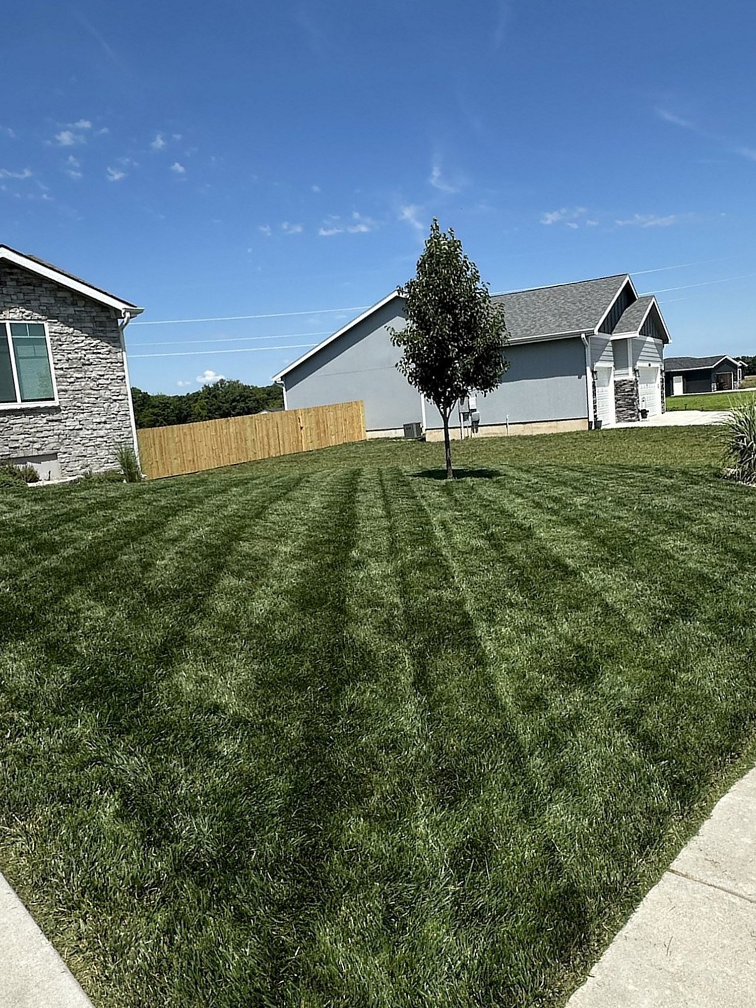 Striped front lawn with a crisp, clean edge along the sidewalk and a landscaped bed with ornamental grass