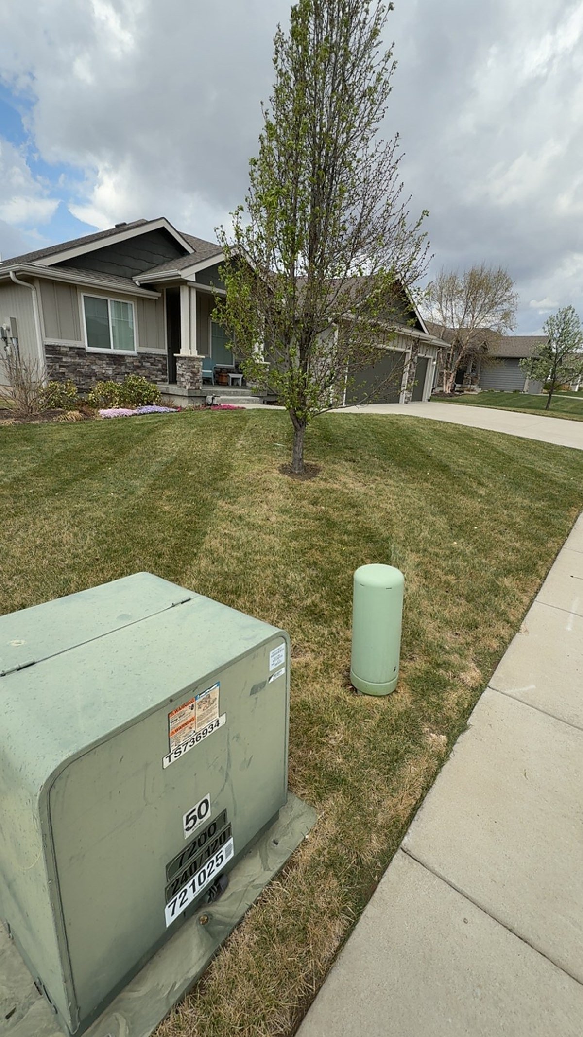 Mowed front yard in early spring with a young tree and a flower bed in front of the house